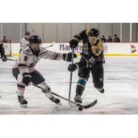 Adirondack Thunder's Ryan Conroy versus Tahoe Knight Monsters' Sloan Stanick