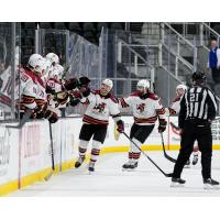 Tucson Roadrunners' Dylan Guenther congratulated by team