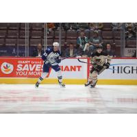 Syracuse Crunch's Maxim Groshev and Hershey Bears' Spencer Smallman on the ice