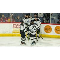 Wichita Thunder gather following a goal