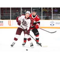 Peterborough Petes right wing Brady Stonehouse vs. the Ottawa 67's