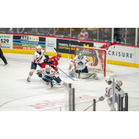 Springfield Thunderbirds goaltender Colten Ellis vs. the Grand Rapids Griffins