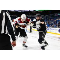 Tucson Roadrunners' Curtis Douglas (left) drops the gloves against Ontario Reign's Jacob Doty (right)