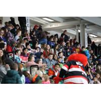 Students watch the Belleville Senators open practice