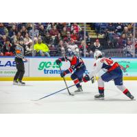 Saginaw Spirit's Xander Velliaris versus Windsor Spitfire's Anthony Cristoforo