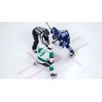 Texas Stars' Justin Hryckowian versus Manitoba Moose' Jaret Anderson-Dolan