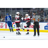 Belleville Senators celebrate a goal against the Toronto Marlies