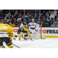 Saginaw Spirit goaltender Andrew Oke against the Sarnia Sting