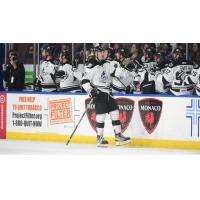 Wichita Thunder's Jay Dickman congratulated by team