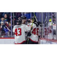 Adirondack Thunder celebrates a score