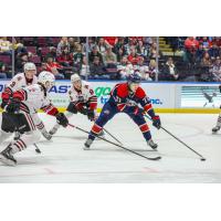 Saginaw Spirit's Michael Misa in action