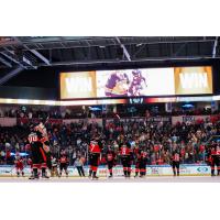 Kansas City Mavericks on the ice