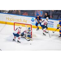 Springfield Thunderbirds goaltender Vadim Zherenko vs. the Bridgeport Islanders