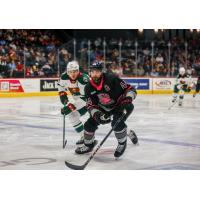 Grand Rapids Griffins defenseman Josiah Didier vs. the Iowa Wild