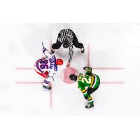 Kitchener Rangers face off with the London Knights