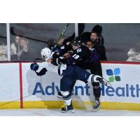 Orlando Solar Bears in a scrap