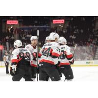 Belleville Senators gather following a goal