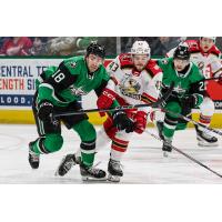 Grand Rapids Griffins right wing Carter Mazur vs. the Texas Stars