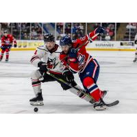 Adirondack Thunder battle the Kalamazoo Wings