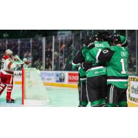 Texas Stars celebrate a goal against the Grand Rapids Griffins