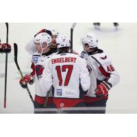 South Carolina Stingrays gather after a goal against the Florida Everblades