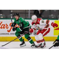 Grand Rapids Griffins forward Jakub Rychlovsky (right) vs. the Texas Stars