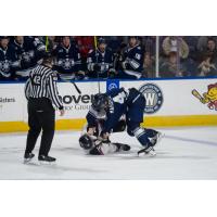 Bloomington Bison's Josh Boyer versus Worcester Railers' Ryan Mahshie