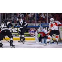 Wichita Thunder's Nolan Burke and Jay Dickman battle Kansas City Mavericks' Victor Östman and Nate Knoepke