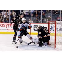 Hiroki Gojsic of the Kelowna Rockets looks for a shot against the Calgary Hitmen