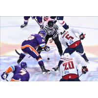 South Carolina Stingrays face off with the Orlando Solar Bears