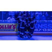 Wichita Thunder goal celebration