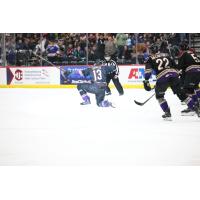 Tucson Roadrunners right wing Egor Sokolov reacts after a goal