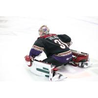 Tucson Roadrunners goaltender Matthew Villalta