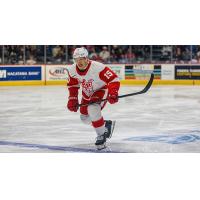 Grand Rapids Griffins center Sheldon Dries