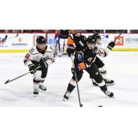 Adirondack Thunder forward Andre Ghantous (left) closes in on the Reading Royals