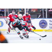 Kelowna Rockets forward Jakub Stancl