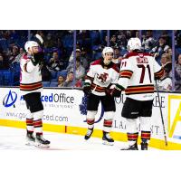 Tucson Roadrunners celebrate a Julian Lutz goal