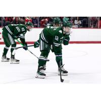 Defenseman Dustin Geregach with Mercyhurst University