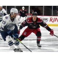 Miko Matika of the Allem Americans eyeing his Jacksonville Icemen opponent