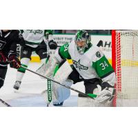 Texas Stars goaltender Ben Kraws