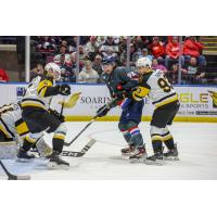 Saginaw Spirit's Nicholas Sima battles the Brantford Bulldogs' Tomas Hamara and Patrick Thomas