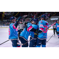 Springfield Thunderbirds celebrate win