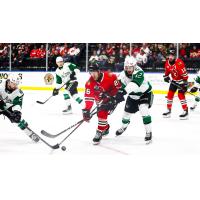 Rockford IceHogs' Gerry Mayhew versus Texas Stars' Arttu Hyry