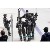 Tahoe Knight Monsters celebrate win