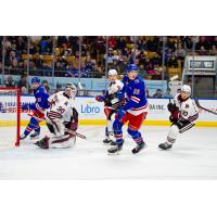 Kitchener Rangers left wing vs. the Guelph Storm