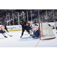 Greenville Swamp Rabbits goaltender Kolby Hay vs. the Orlando Solar Bears