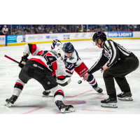 Belleville Senators forward Tristen Robins faces off with the Hartford Wolf Pack