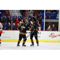 Vancouver Giants celebrate a goal