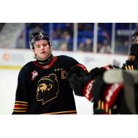 Vancouver Giants exchange fist bumps along the bench