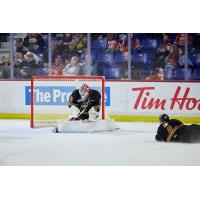 Vancouver Giants goaltender Burke Hood